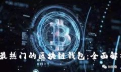 2021年最热门的区块链钱包