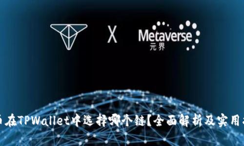 屎币在TPWallet中选择哪个链？全面解析及实用指南