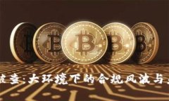 虚拟币公司被查：大环境