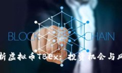 全面解析虚拟币TBEx: 投资
