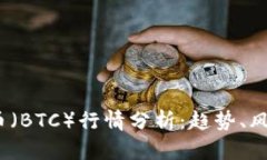 2023年比特币（BTC）行情分