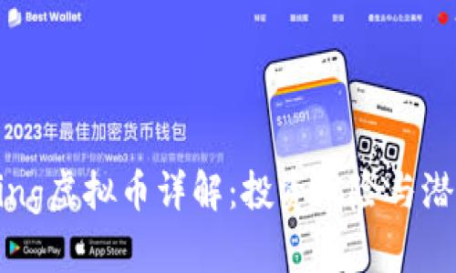 Dogeking虚拟币详解：投资风险与潜力分析