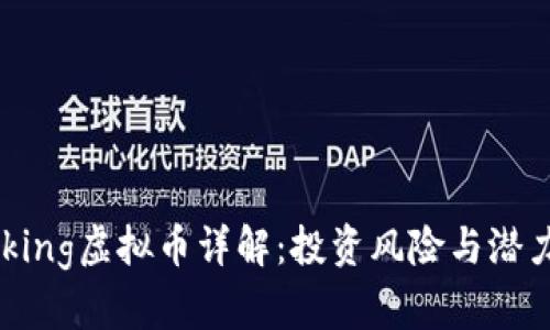 Dogeking虚拟币详解：投资风险与潜力分析
