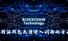 解决b特派钱包无法进入问