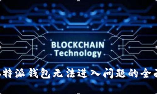 解决b特派钱包无法进入问题的全面指南