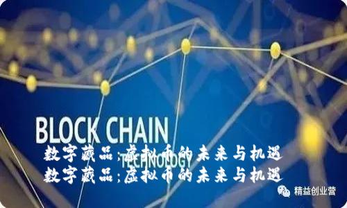 数字藏品：虚拟币的未来与机遇  
数字藏品：虚拟币的未来与机遇