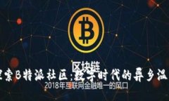 深入探索B特派社区：数字
