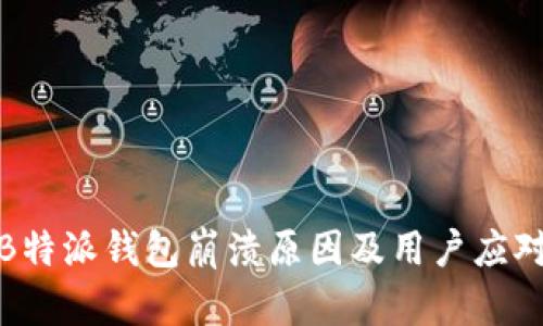 揭秘B特派钱包崩溃原因及用户应对策略