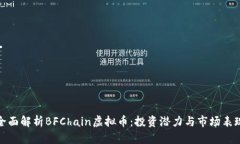 全面解析BFChain虚拟币：投