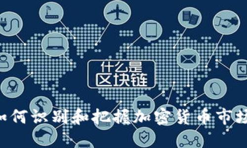 币圈龙头：如何识别和把握加密货币市场的领军项目
