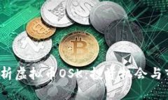  深入分析虚拟币OSK：投资