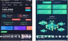 TPWallet延迟支付问题解析：