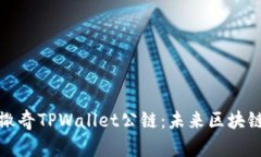深入探讨佛撒奇TPWallet公链