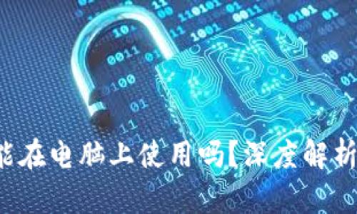  加密钱包能在电脑上使用吗？深度解析与使用指南
