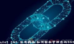 TPWallet BNB 使用指南：如何