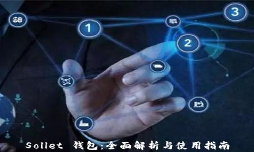 
Sollet 钱包：全面解析与使用指南
