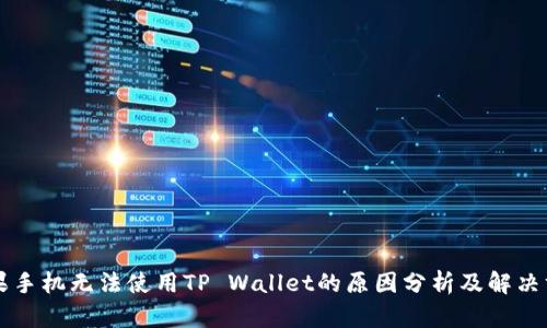 苹果手机无法使用TP Wallet的原因分析及解决方案