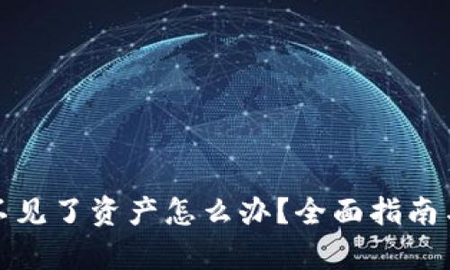 tpwallet不见了资产怎么办？全面指南与解决方案