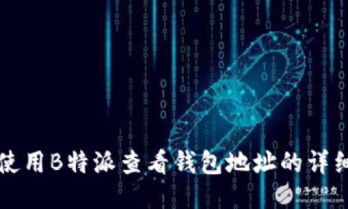 如何使用B特派查看钱包地址的详细指南
