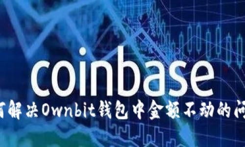 如何解决Ownbit钱包中金额不动的问题？