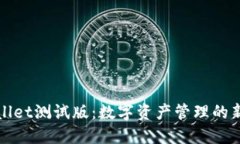 TPWallet测试版：数字资产管