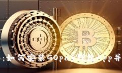 全面指南：如何安装GOpa