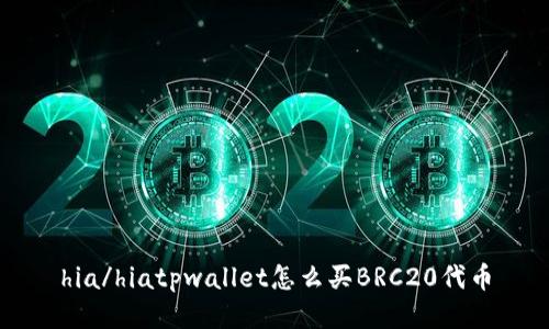 hia/hiatpwallet怎么买BRC20代币
