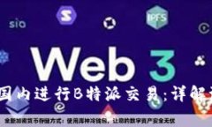 bianoti如何在国内进行B特派