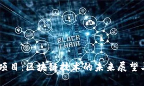 OK链项目：区块链技术的未来展望与应用