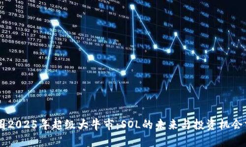 币圈2025年超级大牛市：SOL的未来与投资机会分析