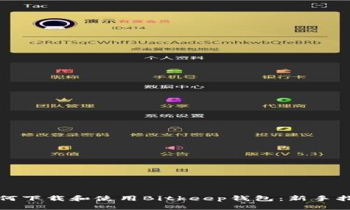 如何下载和使用Bitkeep钱包：新手指南