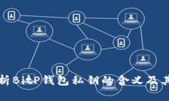 深入解析BitP钱包私钥的含