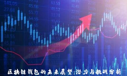 
区块链钱包的未来展望：潜力与挑战分析