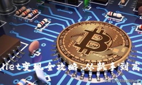 2022年TPWallet变现全攻略：从新手到高手的完整指南