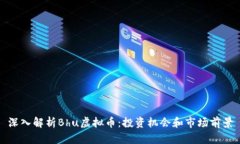 深入解析Bhu虚拟币：投资