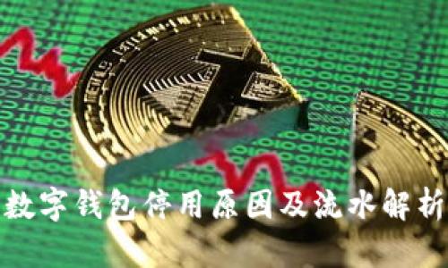 数字钱包停用原因及流水解析