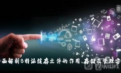 全面解析B特派缓存文件的
