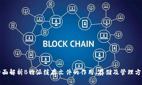 全面解析B特派缓存文件的作用、存储及管理方法
