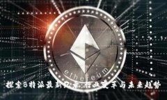 探索B特派最新纪录：行业