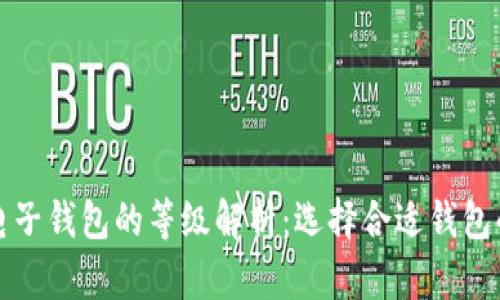 数字货币电子钱包的等级解析：选择合适钱包的全面指南