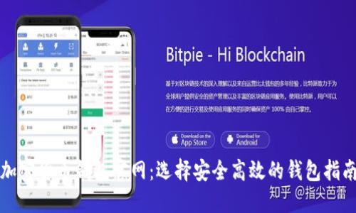 加密货币钱包官网：选择安全高效的钱包指南