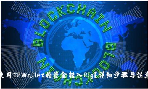 如何使用TPWallet将资金转入Pig？详细步骤与注意事项