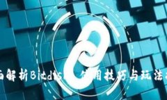 全面解析Bitdisk: 使用技巧