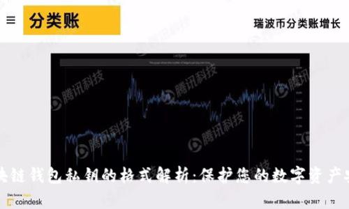 区块链钱包私钥的格式解析：保护您的数字资产安全