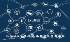 Coinsbit交易所：全面解析及
