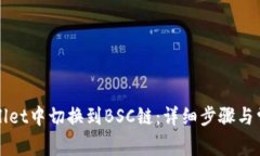 如何在TPWallet中切换到BS