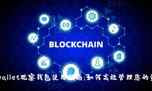 tpwallet观察钱包使用指南：如何高效管理您的资产