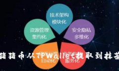 如何将猪猪币从TPWallet提取