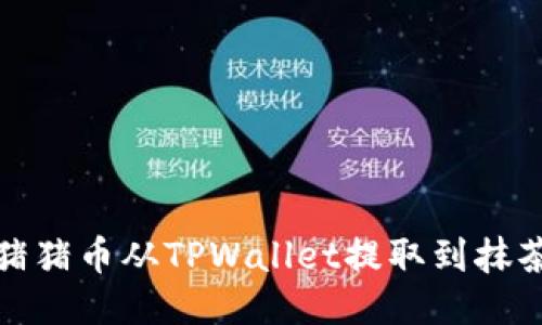 如何将猪猪币从TPWallet提取到抹茶交易所