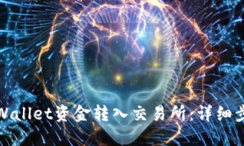 如何将TPWallet资金转入交易所：详细步骤与攻略
